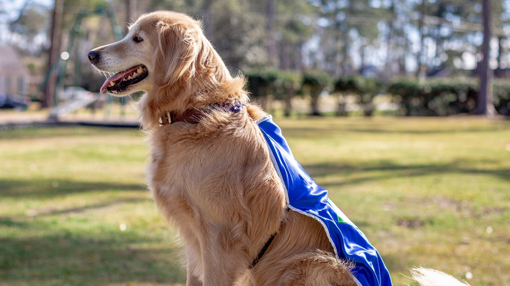 Celebrate National Pet Day - April 11