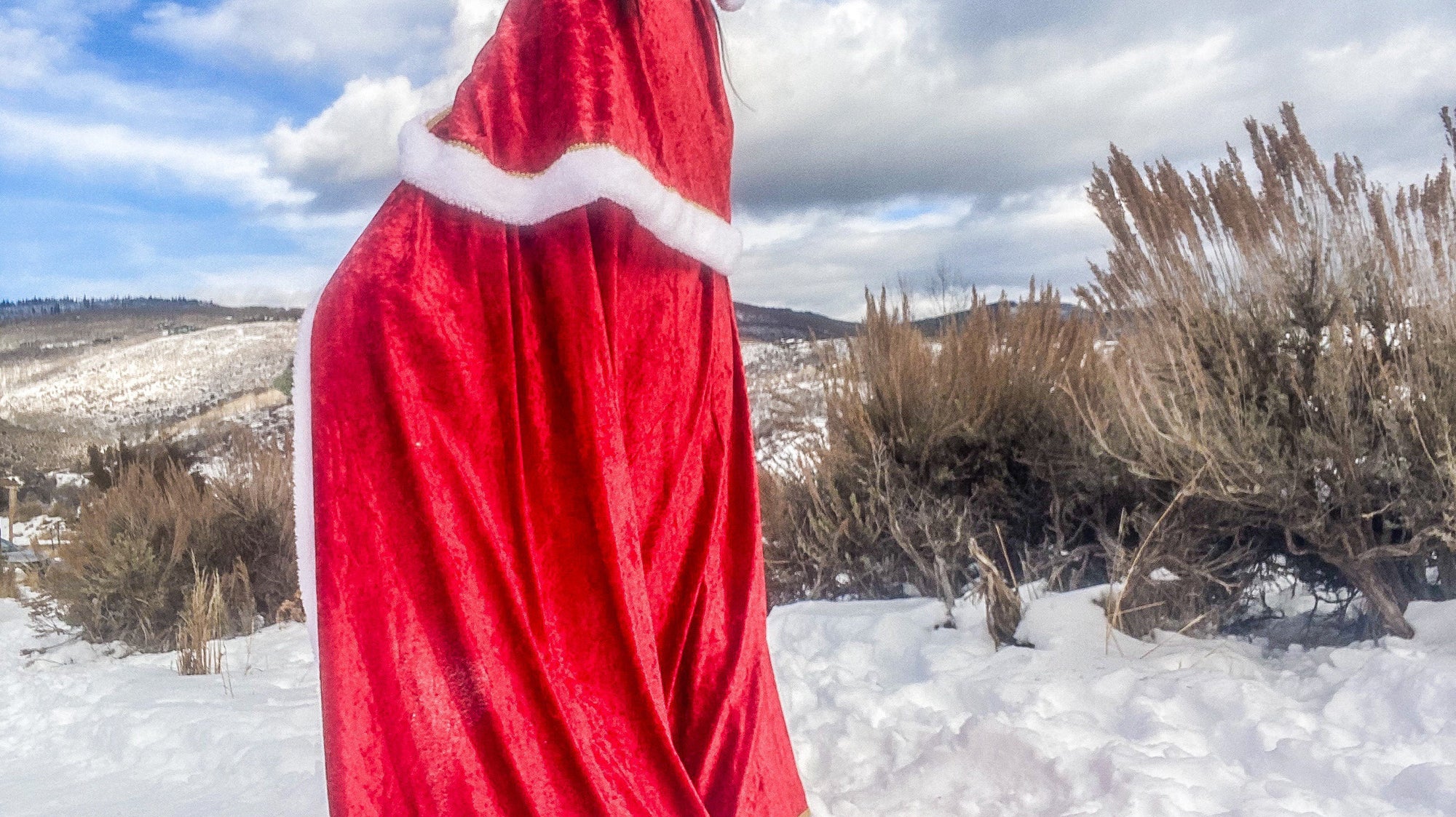 Dress in Costume for a Holiday Party