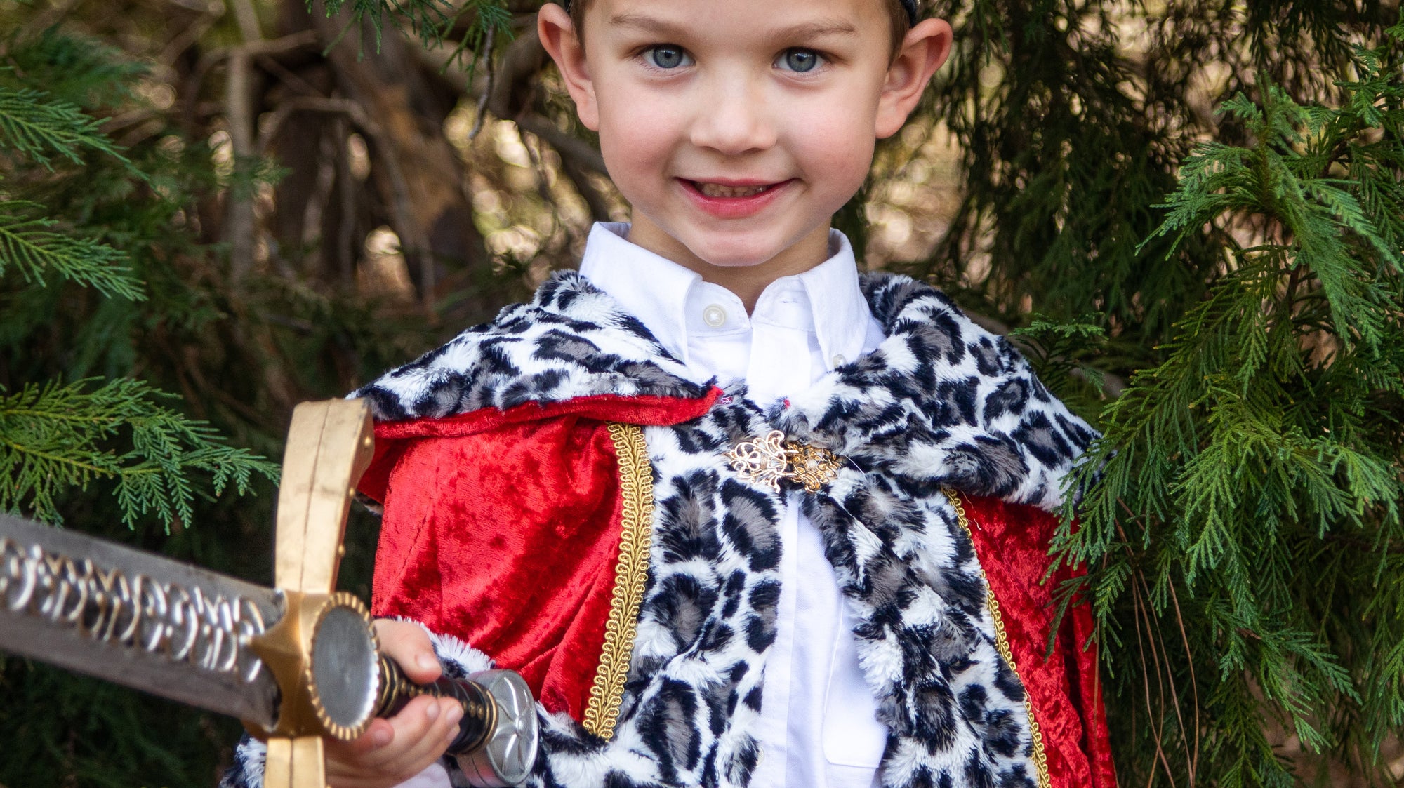 Wiseman Costume Accessories