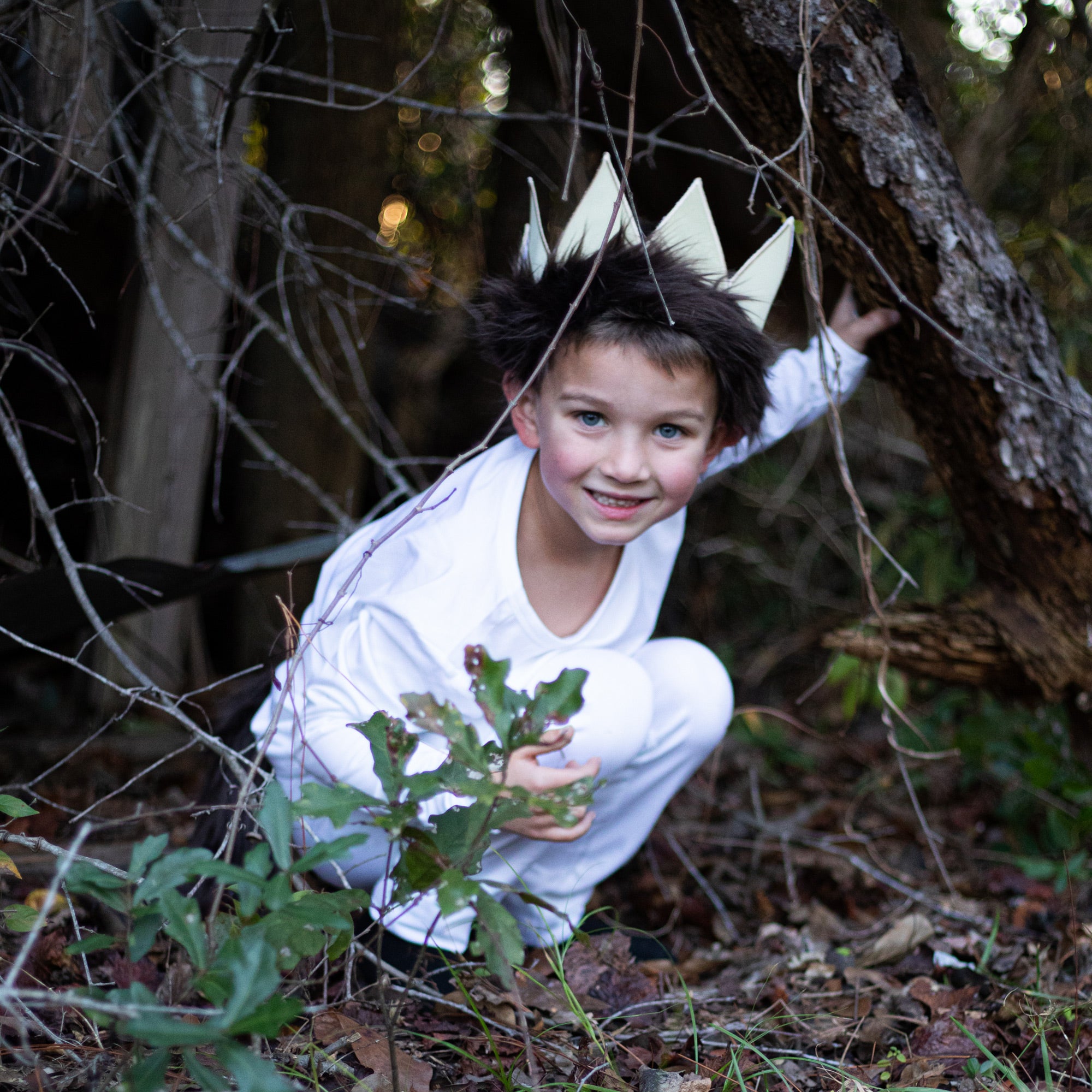 Where the wild things are, Max Crown and Tail with Faux Fur