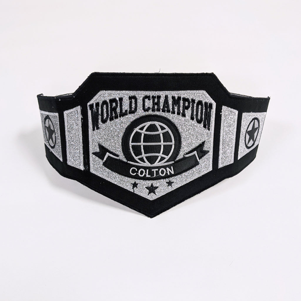 World Champion Custom Wrestling Boxing UFC Belt