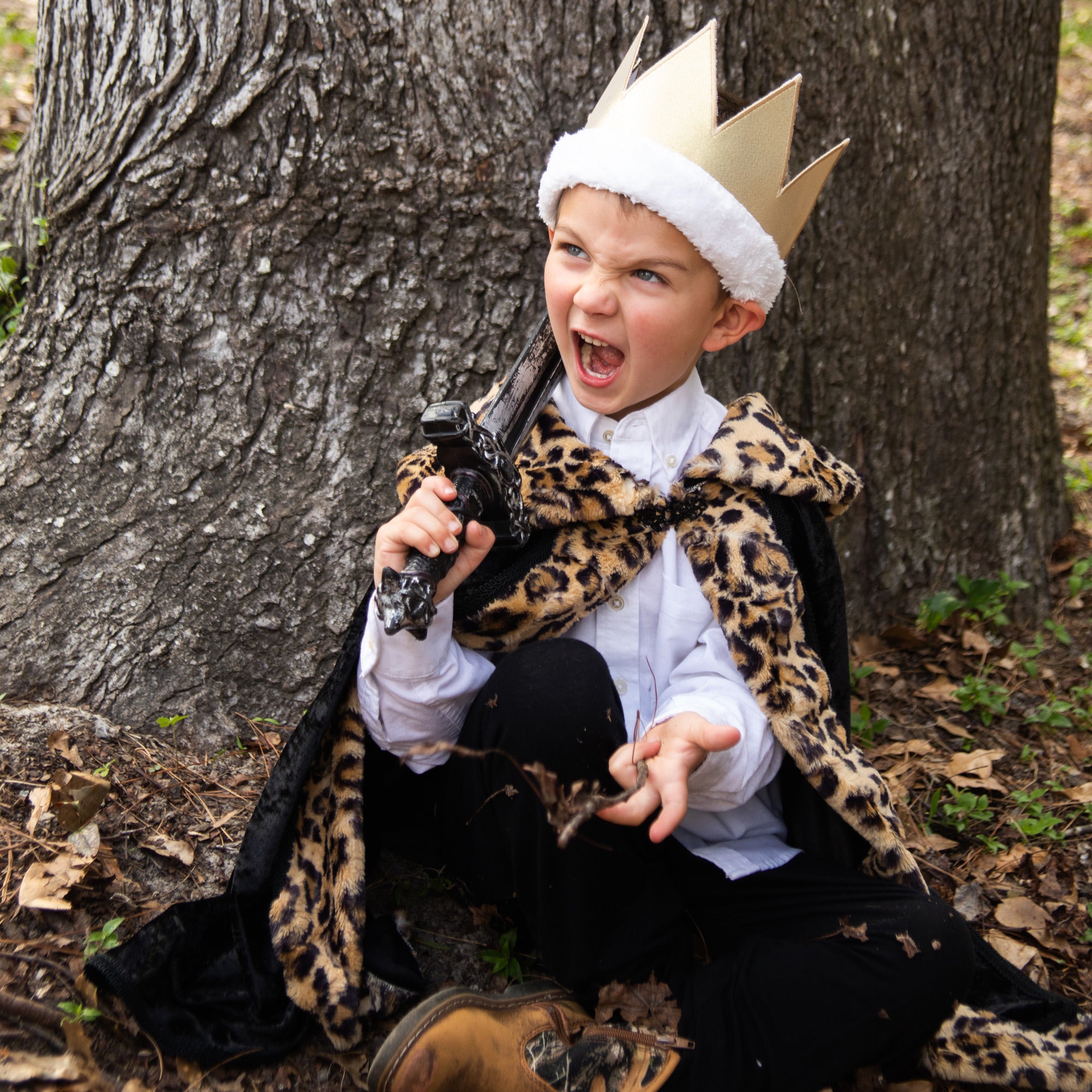 Royal King Queen Prince Cloak with Plush Trim and Metal Clasp Sherpa Medieval