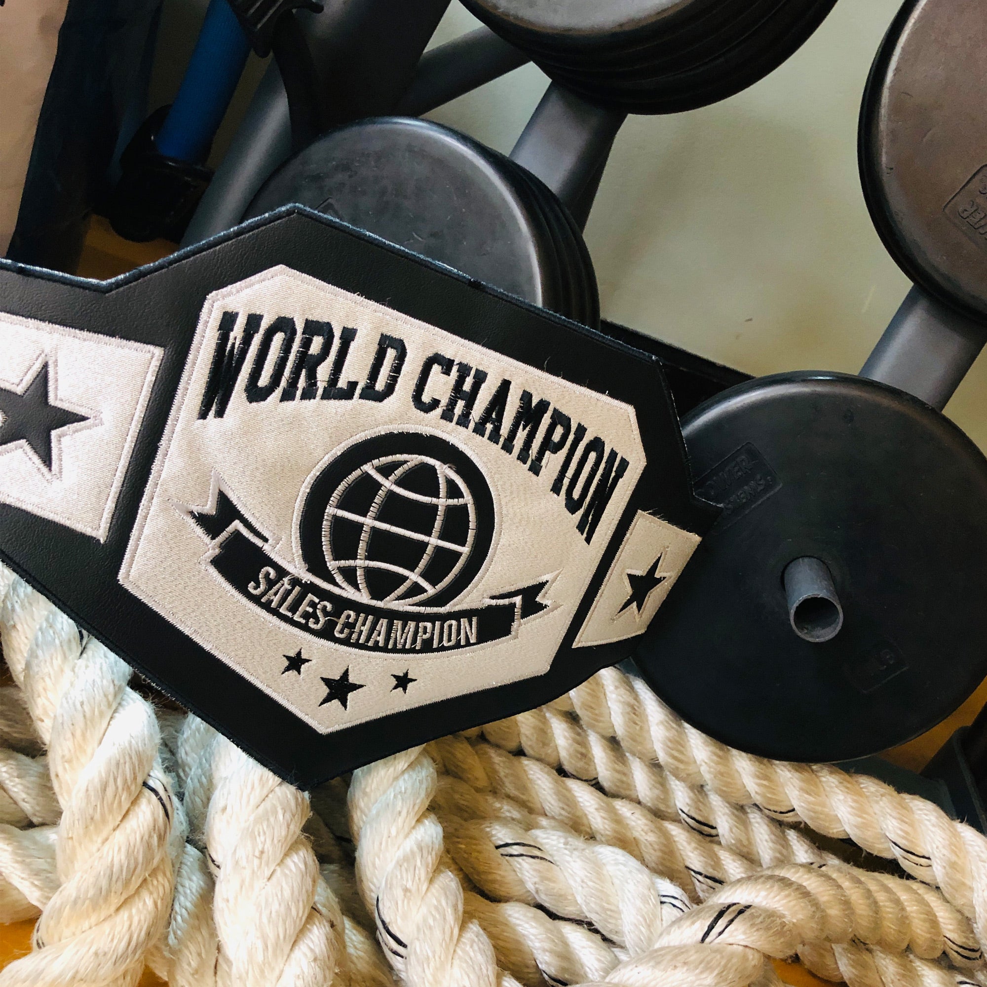 World Champion Custom Wrestling Boxing UFC Belt