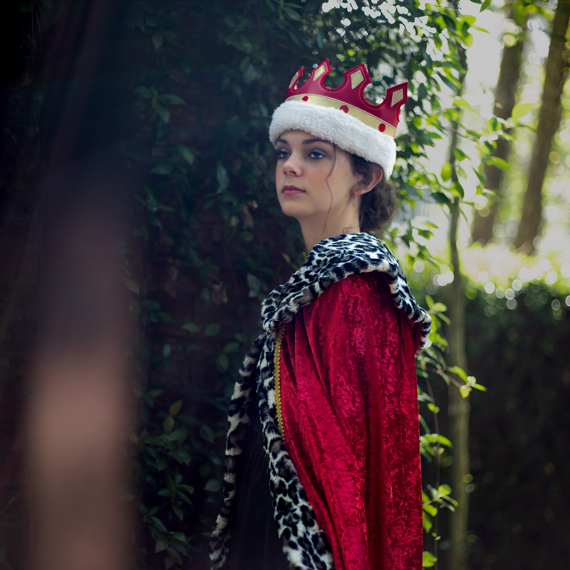 The Majestic Regalia: A Stroll Through History of Kings and Queens Wearing Cloaks