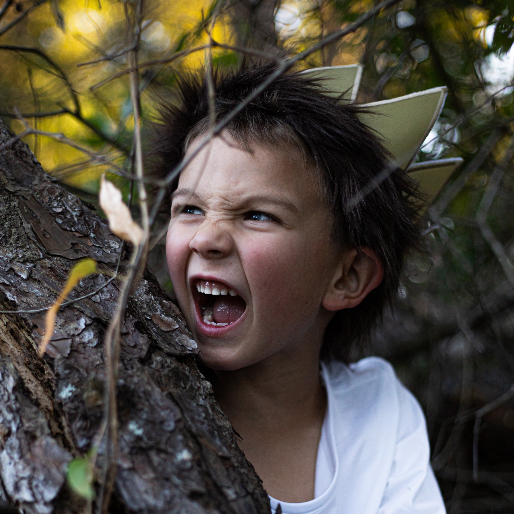 Where the wild things are, Max Crown and Tail with Faux Fur