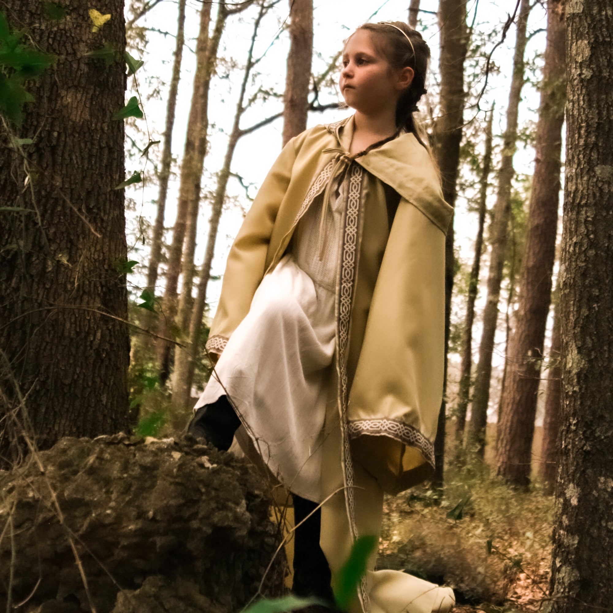 Celtic Robe with Hood & Sleeves – Everfan