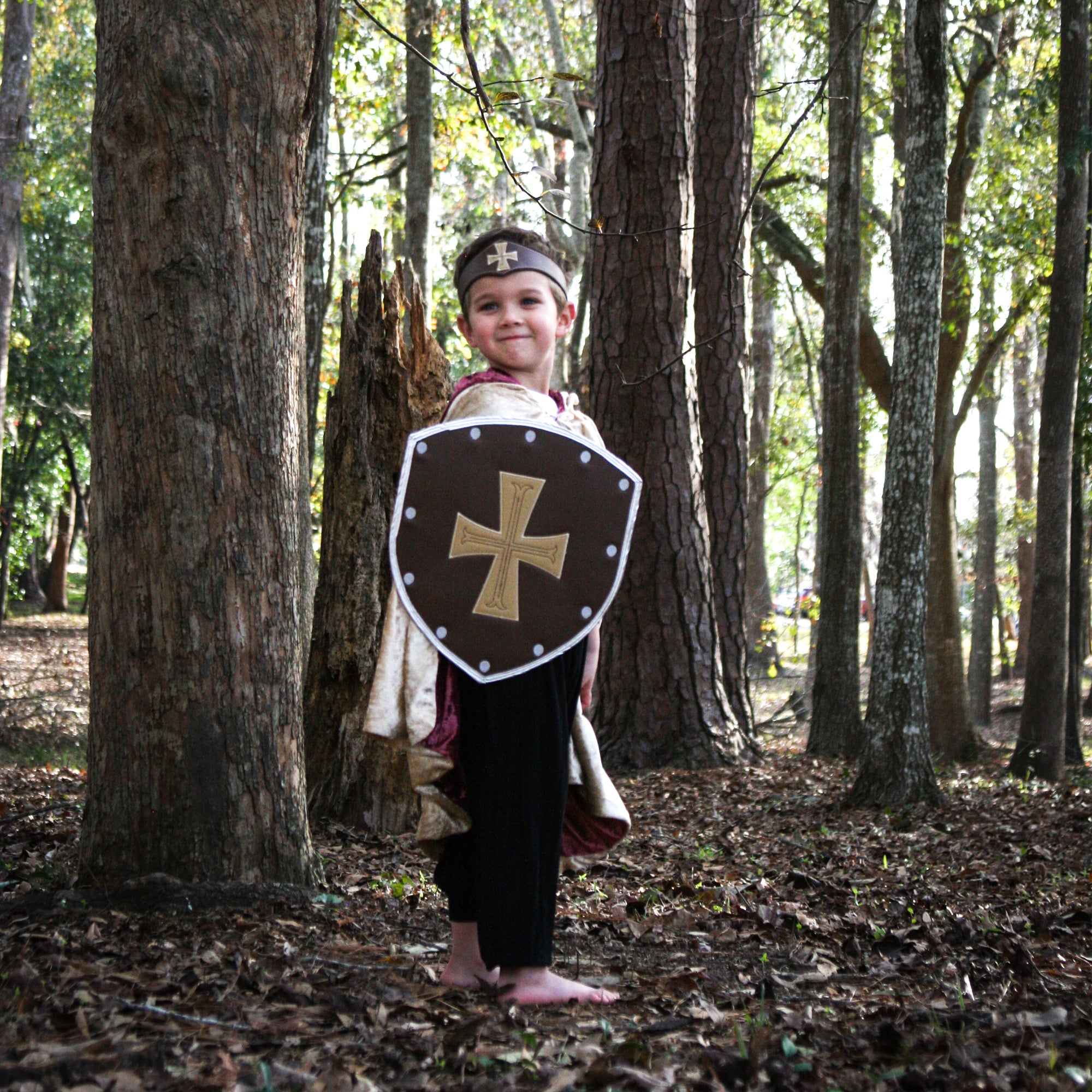 Medieval Renaissance  Shield Knight Gladiator Viking Old World Cross Lion Crest Diamond Crown Fleur de Lis