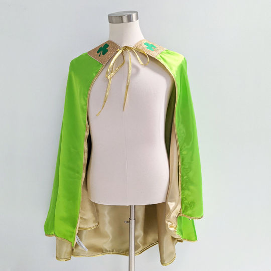 St. Patrick's Day Luck of the Irish Green Gold Clover March 17