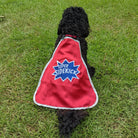 Everfan Superhero Dog Cape Super Sidekick Red