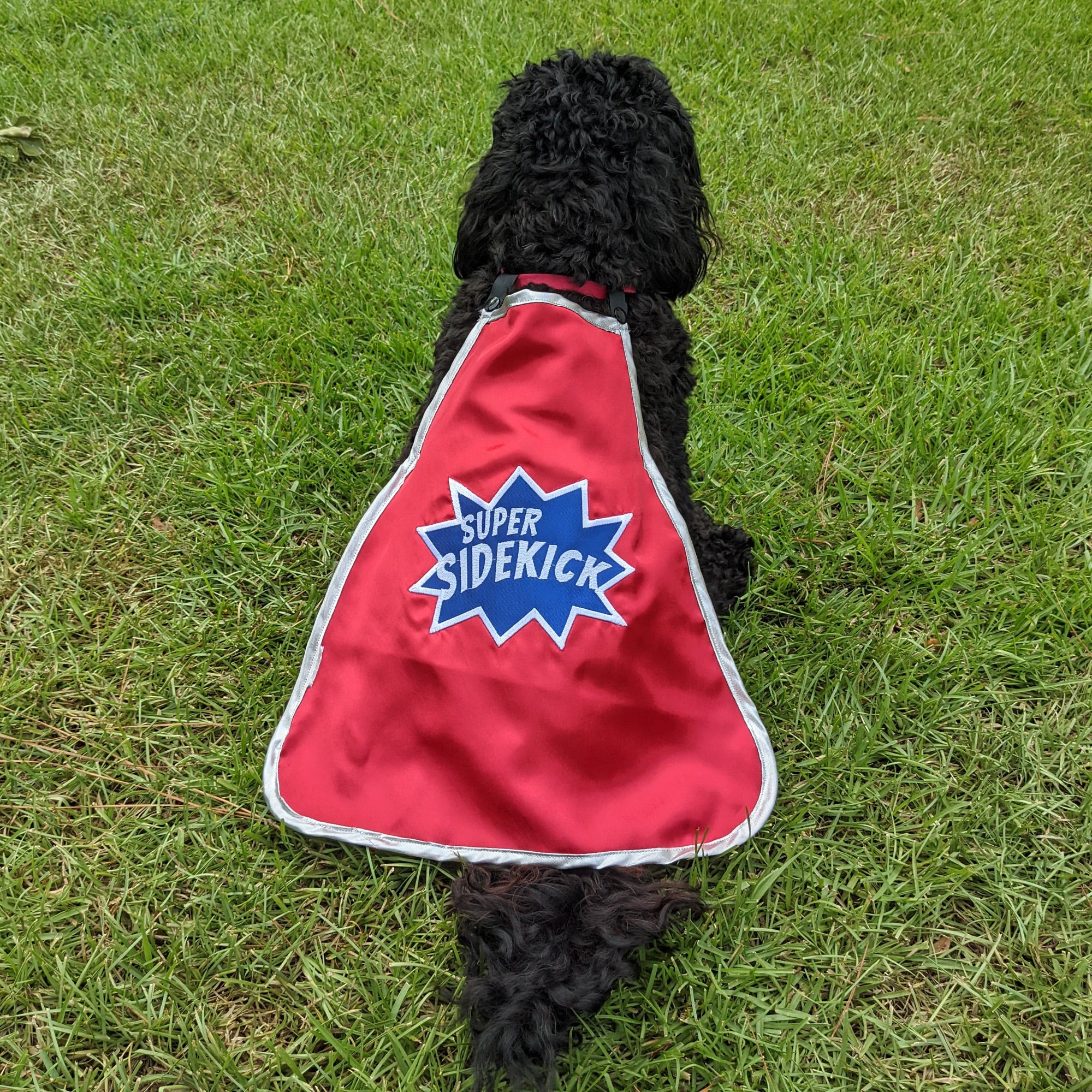 Everfan Superhero Dog Cape Super Sidekick Red