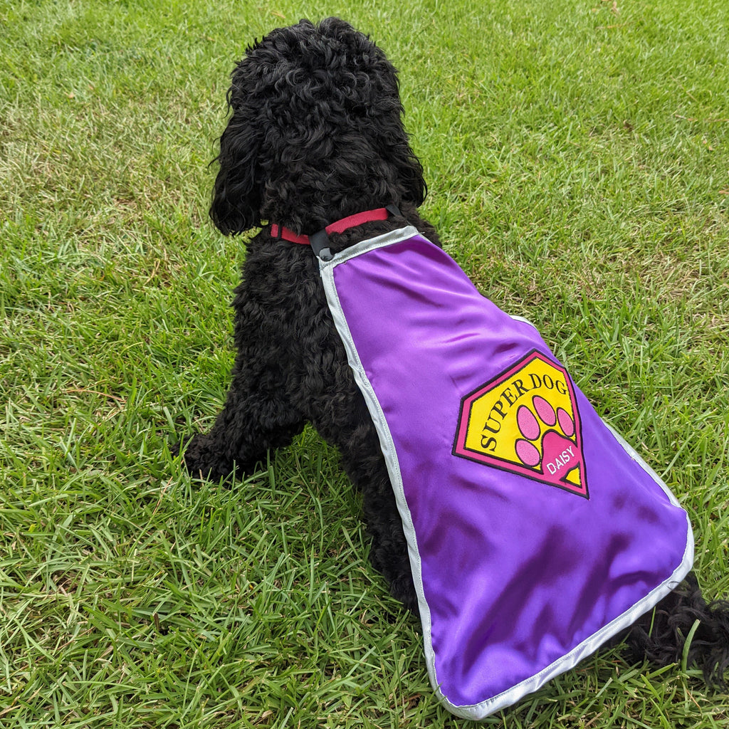 Everfan Superdog Dog Superhero Cape Personalized