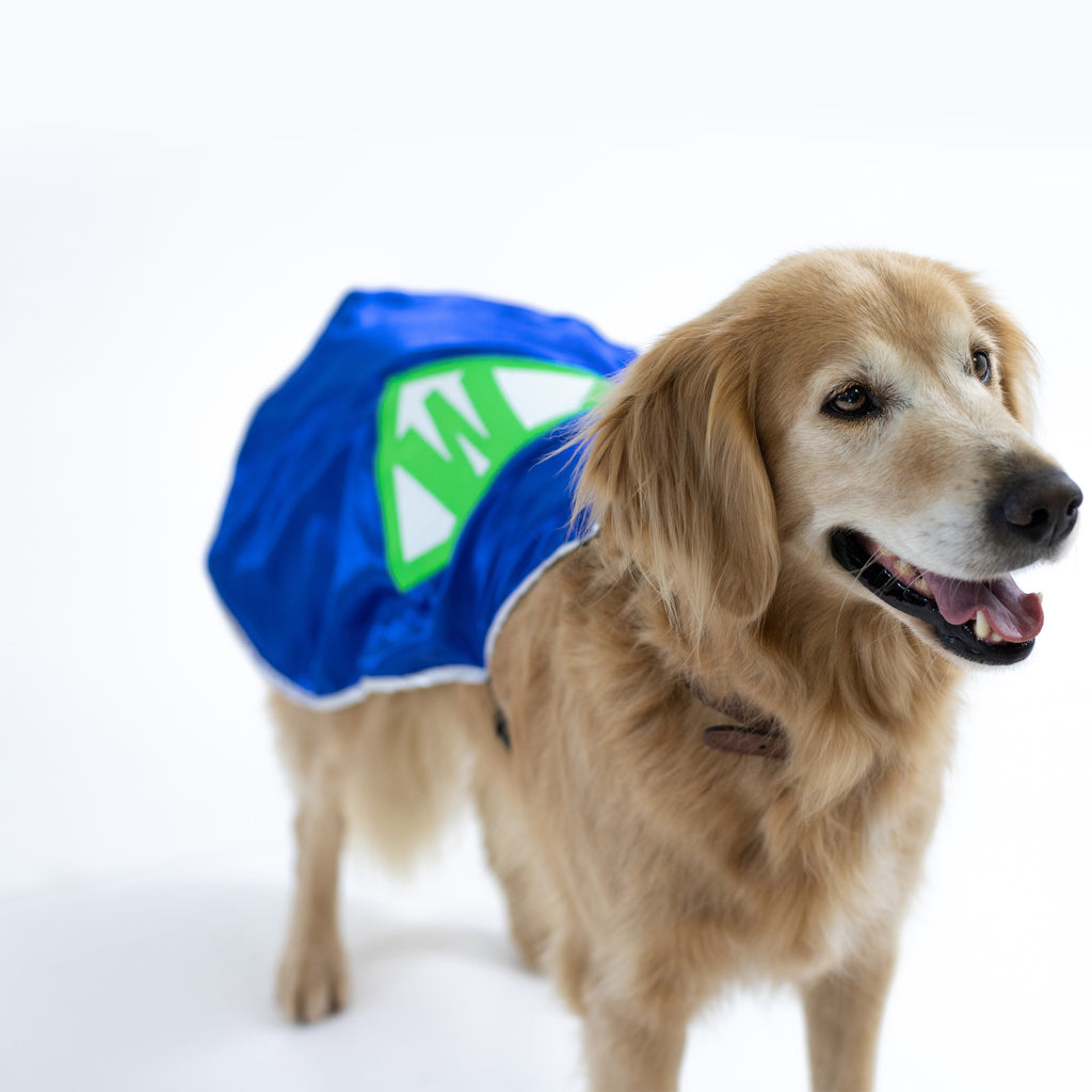 Dog Superhero Cape Personalized Pet Superdog Sidekick