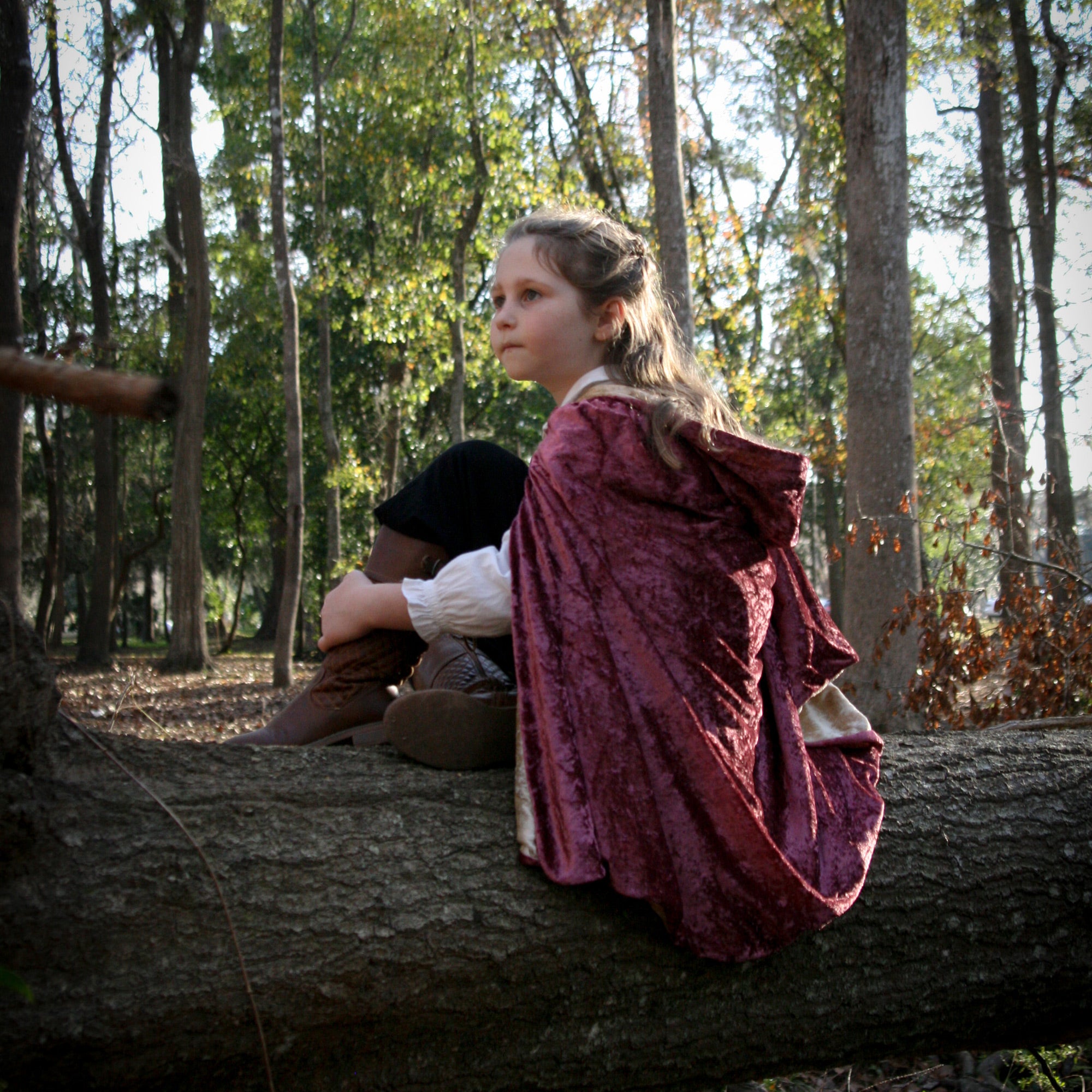 Medieval Reversible hooded cloak, viking cape, royal princess renaissance costume 